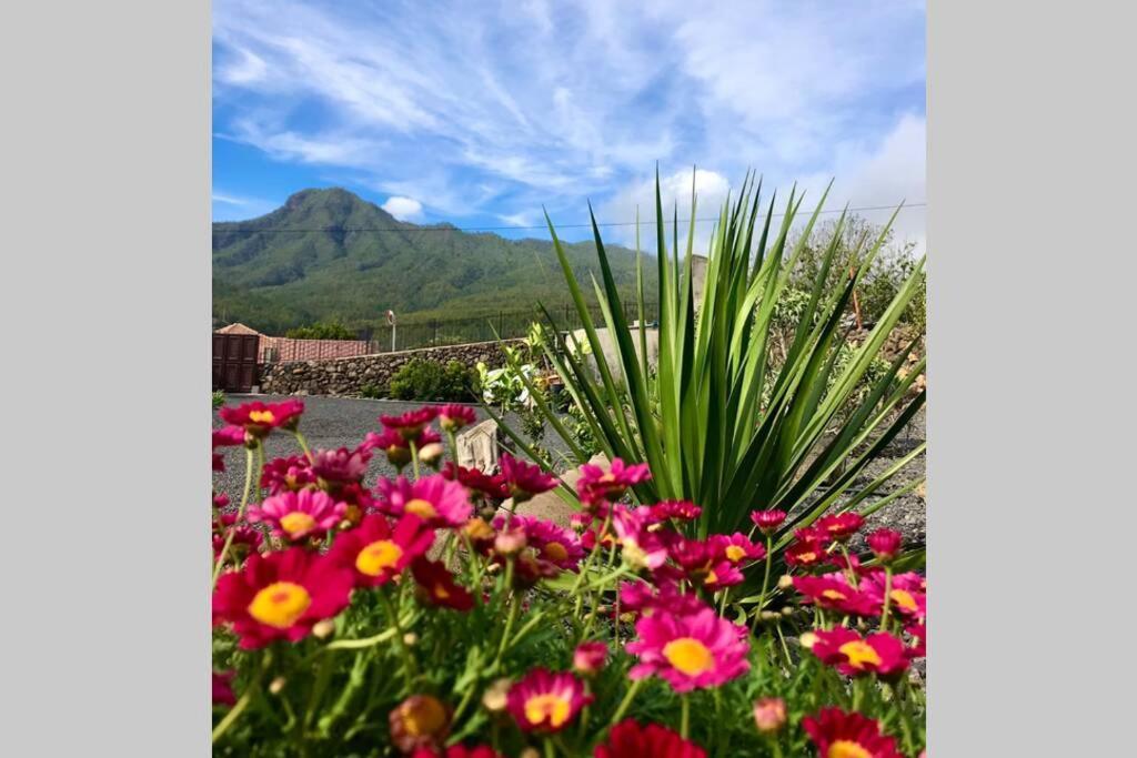 Casita La Rosa Villa El Paso Eksteriør billede
